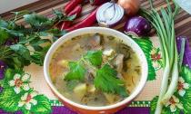 حساء الفاصوليا: خصائص مفيدة ووصفات طبخ خطوة بخطوة